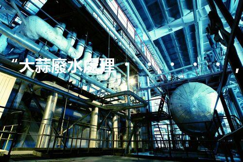 “大蒜廢水處理，綠色環(huán)保新篇章”